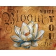 thumbnail image 2 of Knold, Donna 14x12 Black Ornate Wood Framed with Double Matting Museum Art Print Titled - Plant a Garden III, 2 of 4