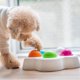 thumbnail image 2 of Pet IQ Intelligent Toy Smart Dog Puzzle Toys for Beginner, Puppy Treat Dispenser Interactive Dog Toys - Improve Your Dog's IQ, Specially Designed for, 2 of 4
