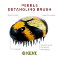 thumbnail image 5 of Kent PB Pebble Scalp Massager Shampoo Brush, Shower Brush, and Travel Size Brush, 5 of 28