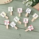 thumbnail image 5 of 50 pinzas de madera con diseño de frutas en miniatura para manualidades, pinzas para fotos del alfabeto, pinzas para la ropa para ilustraciones, 5 of 7