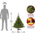 thumbnail image 3 of National Tree Company Kincaid Spruce 4 Ft Unlit Artificial Christmas Tree, 3 of 7