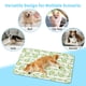 thumbnail image 5 of Mom's Best Esterilla de enfriamiento rápido para perros, transpirable y refrescante, lavable, de seda fría, no tóxica, 15.7 x 23.6 pulgadas, 5 of 6