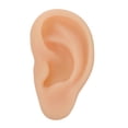 thumbnail image 1 of KAKOWELY Silicone Ear Model for Teaching and Practice Beige Color Realistic Design Perfect for Students,2.76"X1.57"X0.39", 1 of 5