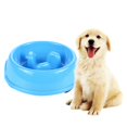 thumbnail image 2 of Blue Puppy Anti-Gulping Bloat Preventing Bowl Alimentador lento Agua Comida Comida Dat Sunnimix Perro alimentador lenta, 2 of 8