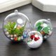 thumbnail image 4 of 10 piezas de bolas de plástico transparente abiertas para adornos navideños, adornos transparentes para fiestas de Navidad, cajas de regalo para niños, 4 of 5