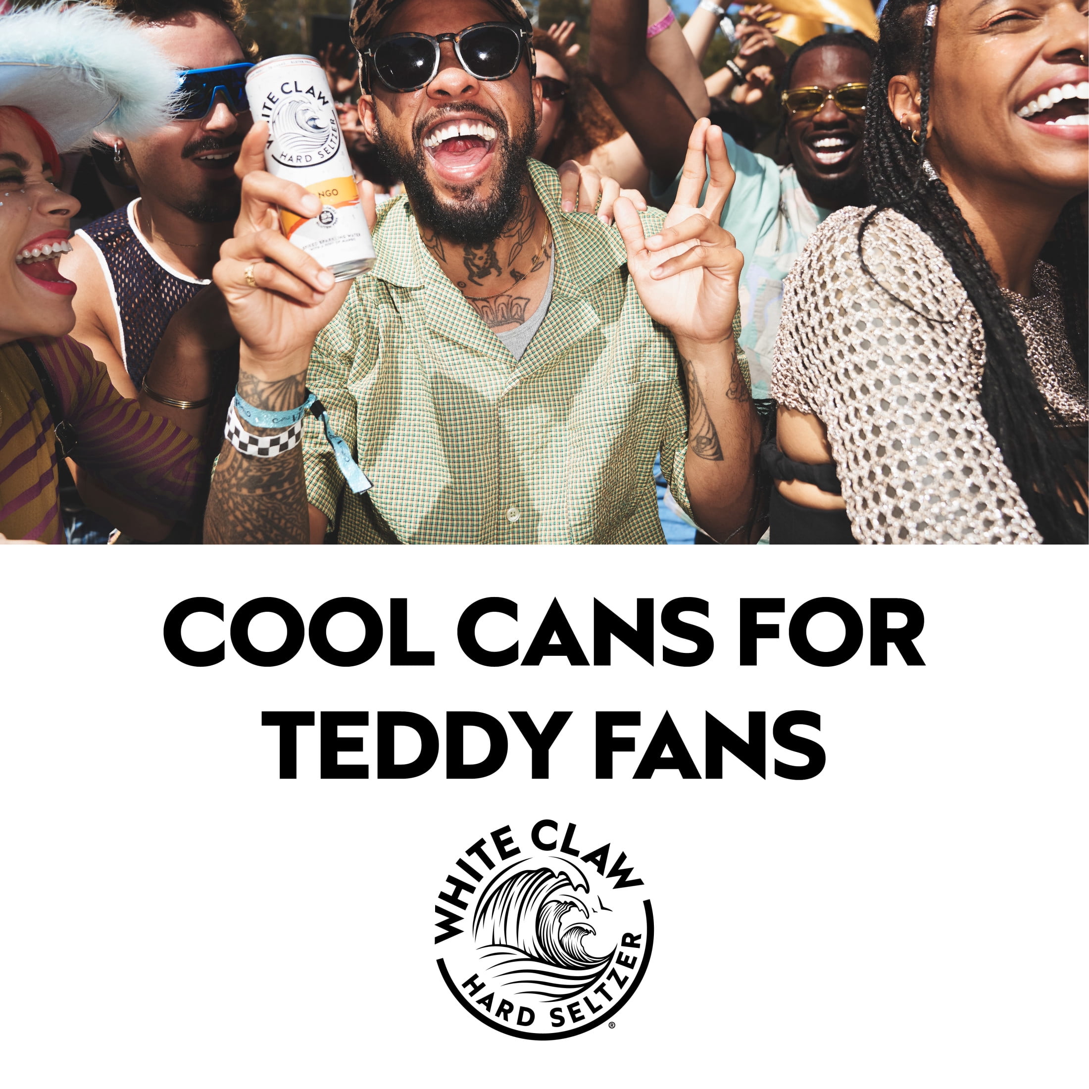 (4 pack) White Claw Hard Seltzer Strawberry, 19.2 fl oz Can, 5% ABV