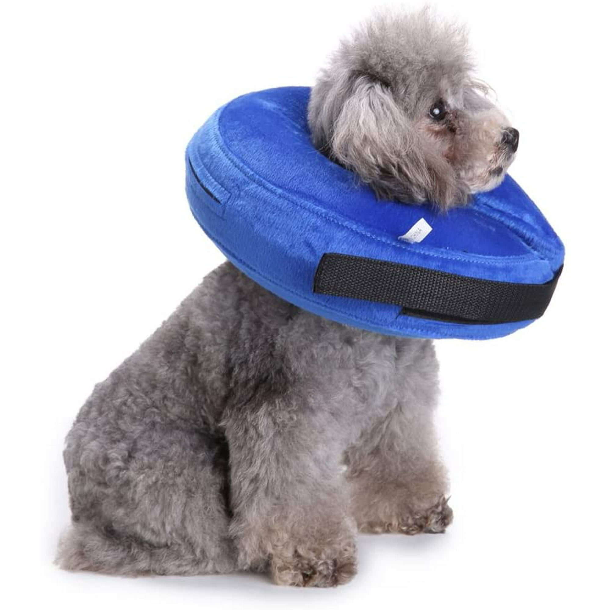 Inflatable collar walmart deals