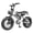 White, variant on Qlife Spark D1 16x4.0" Electric Bike for Adults,500W up to 20MPH Fat Tires EBike,48V 13Ah Removable Battery Dirt E Bicycle,Full Suspension,Black