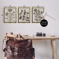 thumbnail image 4 of Stupell Industries Vintage Country Botanicals Plants & Flowers Painting Gold Floater Framed Canvas Art Print Wall Art, 17 x 21, Set of 3, 4 of 10