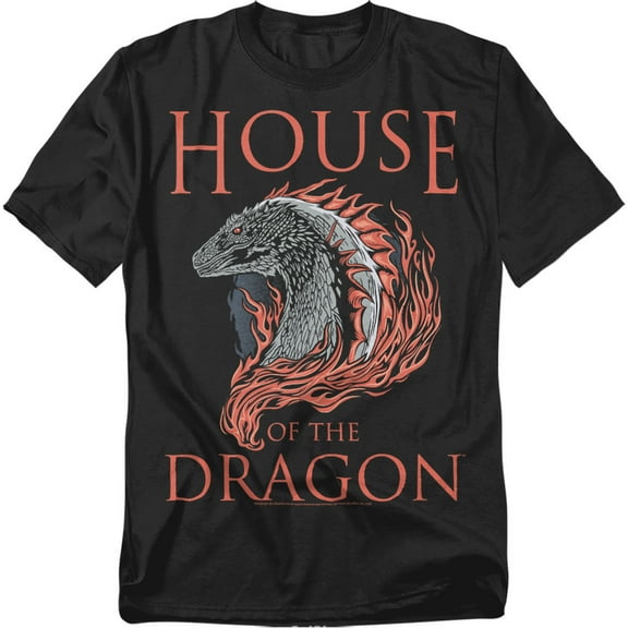 House of The Dragon T-Shirt Hod Dragon Illustration Unisex Graphic Tee For Men & Women
