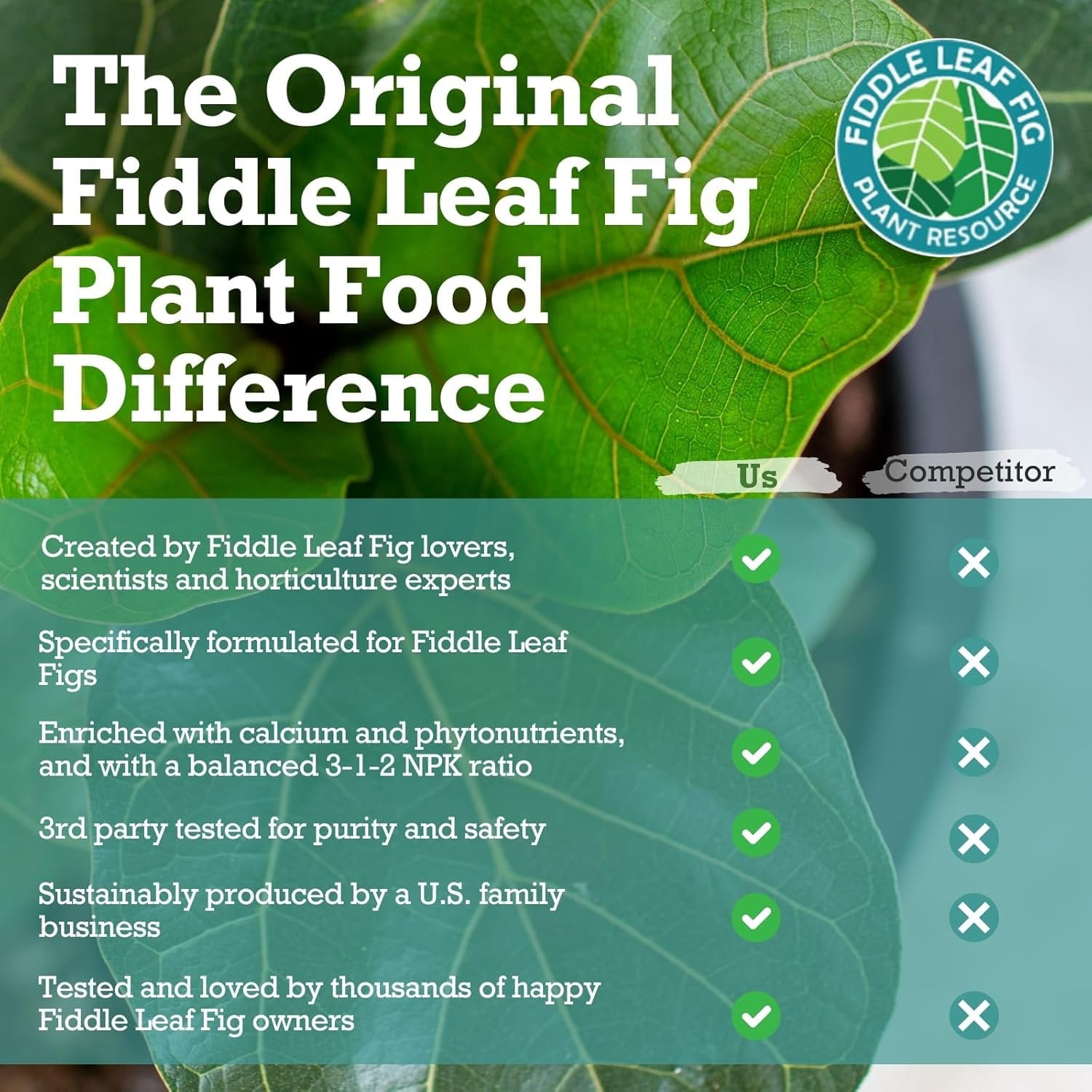 Fiddle Leaf Fig Plant Food  312 Balanced NPK Liquid Fertilizer for Larger Leaves, Stronger Roots & Steady, Vibrant Growth  Suitable for All Ficus Including Ficus Lyrata  Made in USA  8 oz
