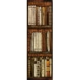 thumbnail image 2 of Medley, Elizabeth 9x18 Gold Ornate Wood Framed with Double Matting Museum Art Print Titled - Library I, 2 of 4