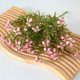 thumbnail image 1 of Nvzi 2 piezas de flores artificiales de tacto real para decoración del hogar, oficina, boda, arreglo floral (rosa, 36 cm de largo), 1 of 5