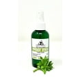 thumbnail image 1 of Peppermint Hydrosol Organic Floral Water Pure Natural 4 oz, 1 of 1