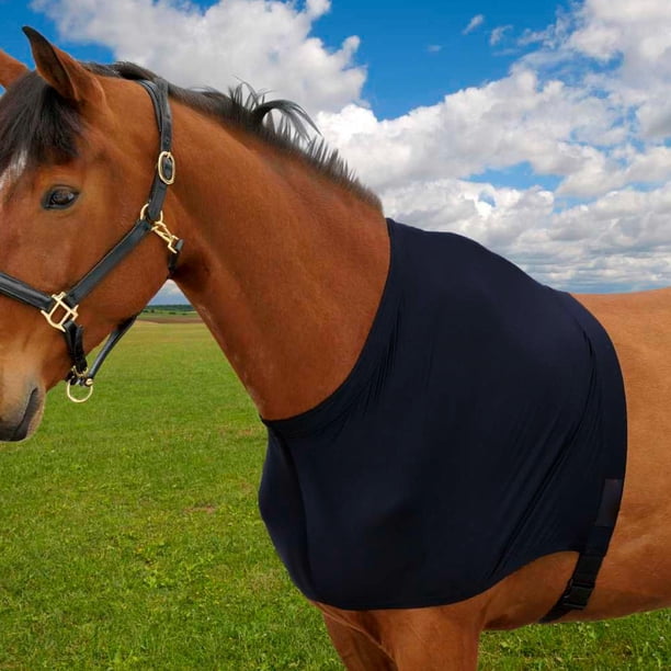D'épaule De Chevaux - Gilet Glissé Extensible, Protecteur De Poitrine, Bocborde Anti-frot, Épargnant Confortable | Protection Durable Pour La Formation De La Formation Stable Supplies D'équipeme D'épaule De Chevaux - Gilet Glissé Extensible, Protecteur De Poitrine, Bocborde Anti-frot, Épargnant Confortable | Protection Durable Pour La Formation De La Formation Stable Supplies D'équipeme