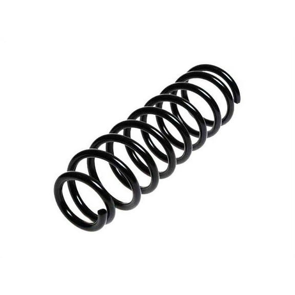 Rear Coil Spring - Compatible with 1999 - 2002 Suzuki Grand Vitara 2.5L V6 2000 2001