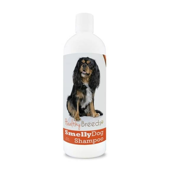 Cavalier King Charles Spaniel Smelly Dog Baking Soda Shampoo