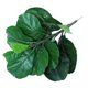 thumbnail image 3 of Árbol de Higuera de Hoja de Violín Artificial Ramas de Plantas de Vegetación Sintética para Fiesta de Boda Patio Interior Exterior Oficina Decoración del Hogar ANGGREK Otros, 3 of 8
