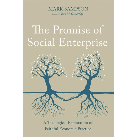 The Promise of Social Enterprise (Paperback)