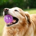 thumbnail image 3 of Squeaky Spiky Dog Ball Toy Floating Bouncy Dental Teeth Cleaning Chew Ball for Small Medium Dogs Interactive Play Ball Toy,1pack,Purple, 3 of 4
