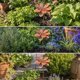 thumbnail image 4 of Estaca jardín metal con forma flor, estacas decorativas jardín, adornos rústicos hierro, flores metal, para exteriores, césped o, 4 of 6