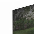 thumbnail image 2 of Luxe Metal Art 'Fragrant Outhouse' by Lori Deiter, Metal Wall Art, 24"x16", 2 of 8