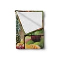 thumbnail image 2 of Nature Soft Flannel Fleece Throw Blanket, Fruits Salad Themed Watermelon Pineapple Apple Cherries Juice Collage Art Print, Cozy Plush for Indoor and Outdoor Use, 50" x 70", Multicolor, by Ambesonne, 2 of 6
