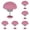 A*5, variant on Quilt Duvet Clips Bedding Holder Pins Fasteners Mushroom Round Fixing Clips for Quilts Blanket Sheet Bed Skirt Slippers Pillow Towel Cushion Curtain, Pink
