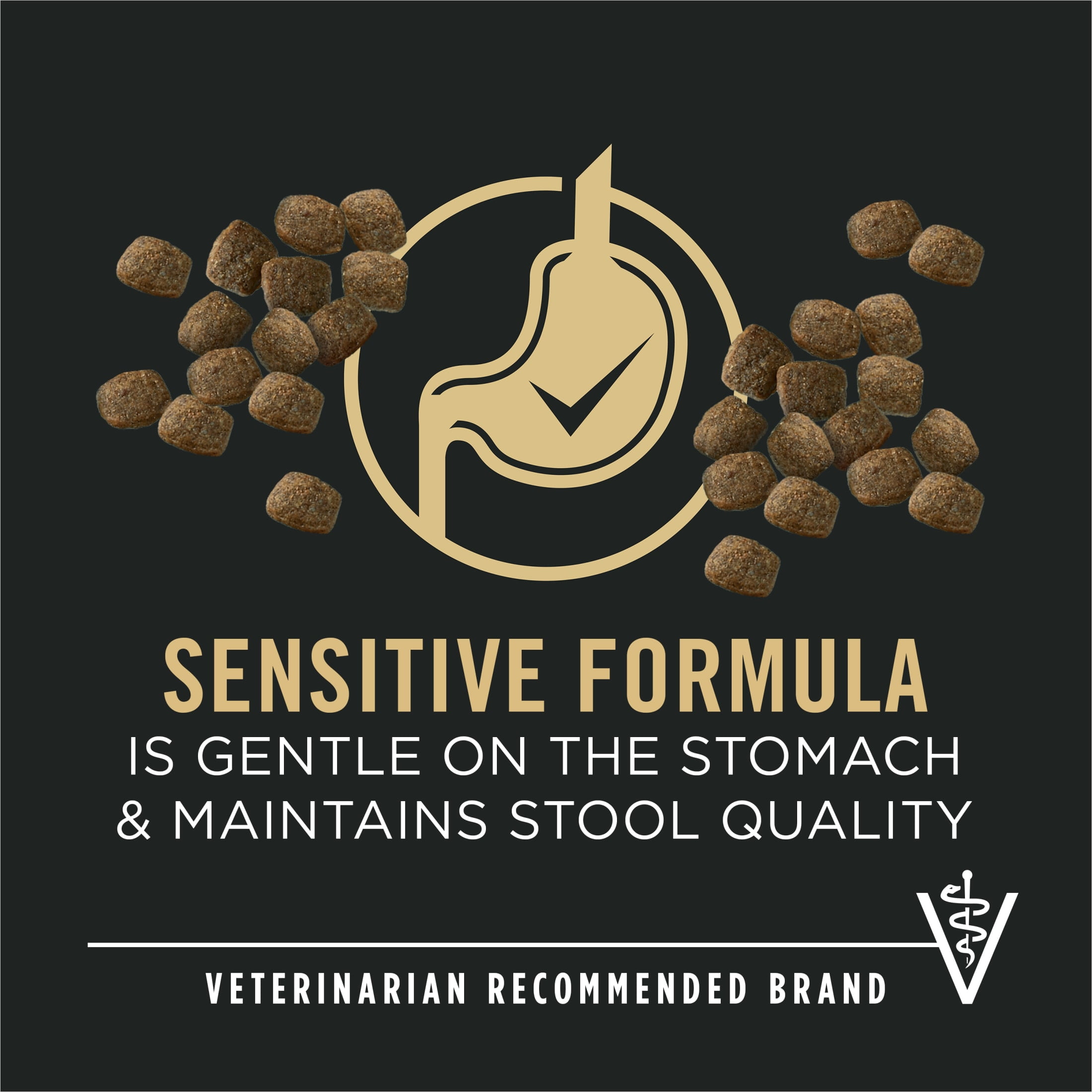 Purina Pro Plan Sensitive Skin and Sensitive Stomach Dog Food Senior Dogs Adult 7 Plus Salmon and Rice Formula, 4 lb Bag