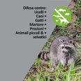 thumbnail image 5 of Dispositivo repelente paraJuego de 2 uds. Disuasivo ultrasónico de mascotas, impermeable, disuasivo acústico contra la vida silvestre, roedores, pájaros, perros y gatos, 5 of 5