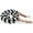 Black/White, variant on Horse Roping Western Barrel Contest Reins Nylon Braided 7'  607498