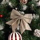 thumbnail image 5 of Christmas Day Gifts For Girls And Women Bow With Ponytail Holders Complete Your Cheerleader Outfit Uniform Strong Hair Ties Bands Elastics Two Packs, 5 of 6