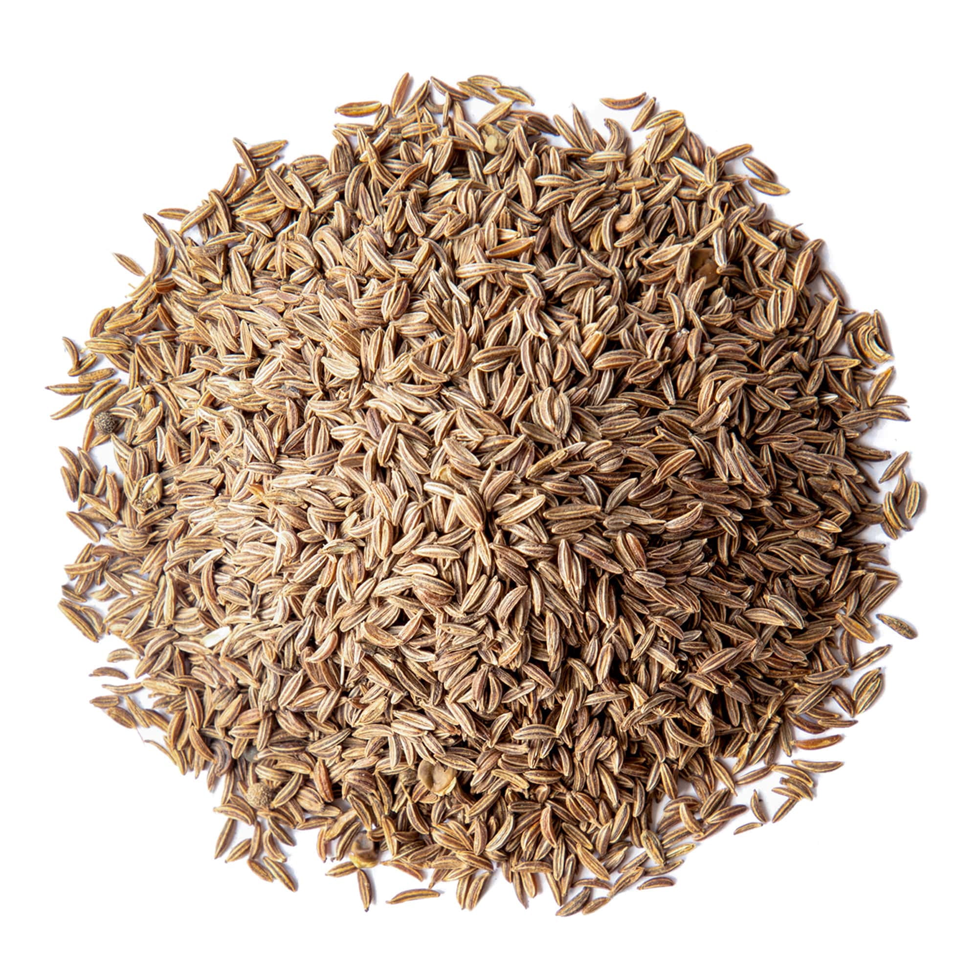 Organic Caraway Seeds, 7 Pounds - Non-GMO, Kosher, Raw, Vegan - by Food to Live
