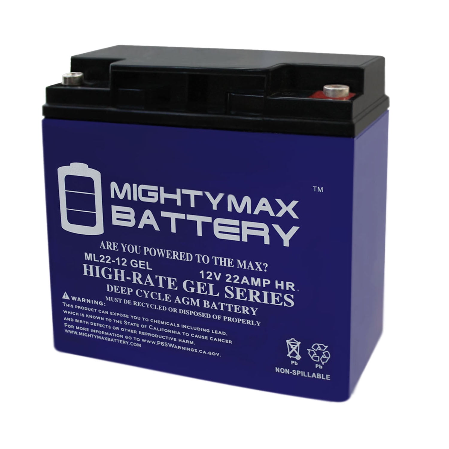 Mighty Max Battery 12V 22AH Gel Battery for Schumacher DSR ProSeries PSJ-2212 Booster Brand Product