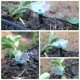 thumbnail image 5 of 20x Boquilla ajustable para jardín Riego por goteo Aspersor para flor Likrtyny Libre de BPA, 5 of 9