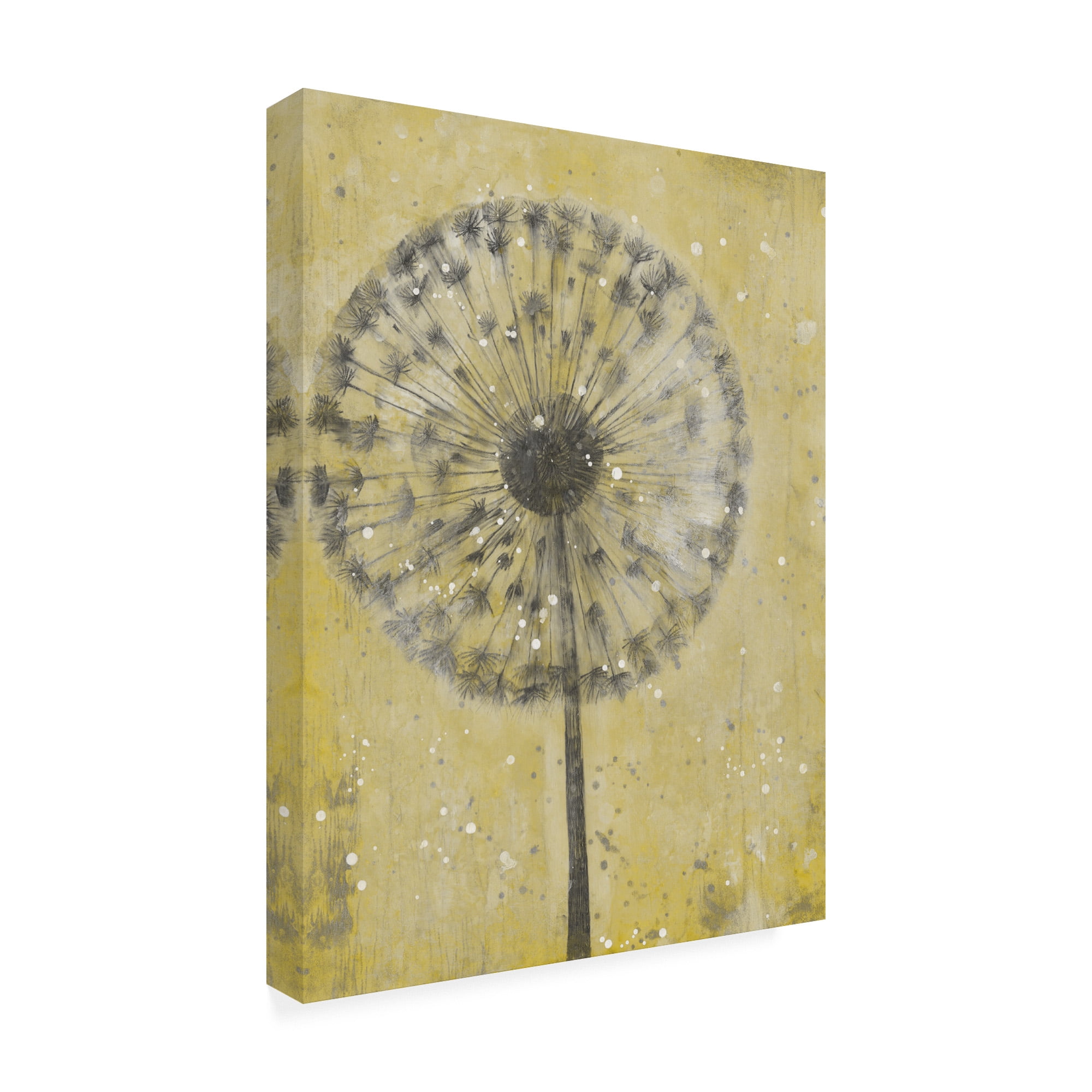 Trademark Fine Art 'Dandelion Abstract II' Canvas Art by Tim OToole