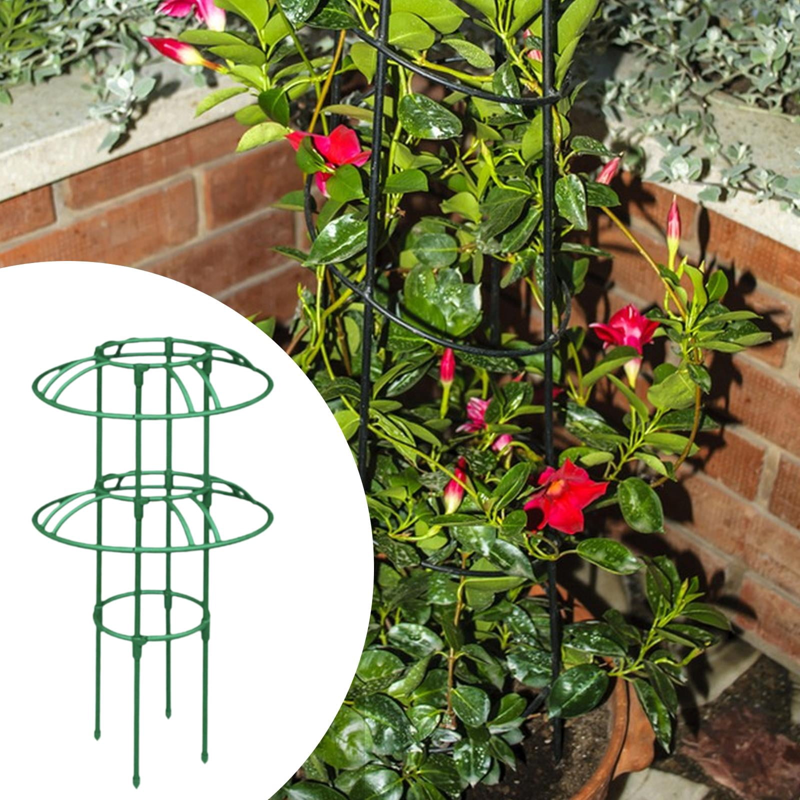 koolsoo Garden Obelisk Trellis Gardening Climbing Frame Strong Vertical Umbrella Trellis Frame for Beans Flowers Tomatoes Houseplants 70cm multi umbrella