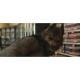 thumbnail image 4 of Goosebumps (DVD Sony Pictures), 4 of 6