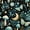 Color 3, variant on Peel and Stick Wallpaper Mushroom Butterfly Black Butterflies Mushrooms Stars Leaves Moon 24in x 118in Contact Paper Removable Self Adhesive Wall Mural Wall Decor for Bedroom Kitchen Cabinets