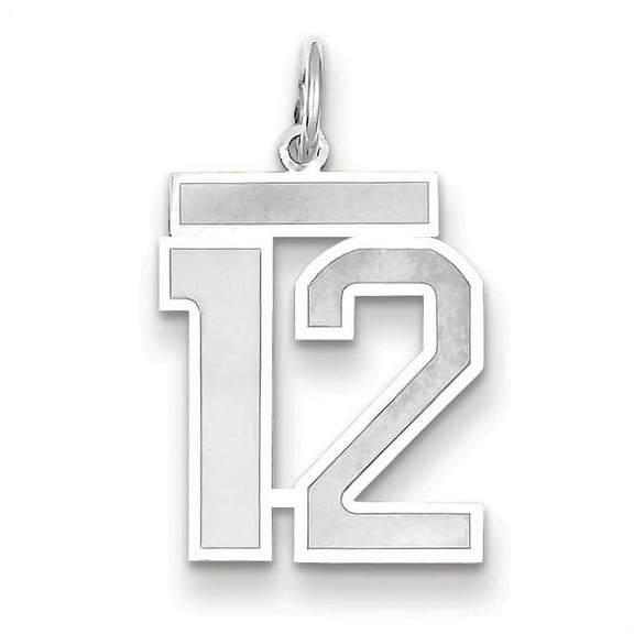 14k White Gold Satin Brush Finish Medium Size Number 12 Charm Pendant