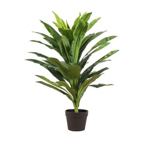 The Garden - Planta Artificial Dracaena 80 Cm