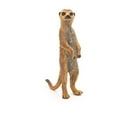 thumbnail image 2 of Figura Papo Wild Animal Kingdom Standing Meerkat 50206, 2 of 6