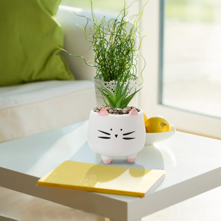 LHWEN Pots Cactus Animal Pot Bonsai Pot Potted Succulent Ceramic Set Home  Decor Modern Design Clay Colorful Glaze Compact Furniture Decorative for  Desks Bookshelves Living Room Reception Room Gift - Walmart.com
