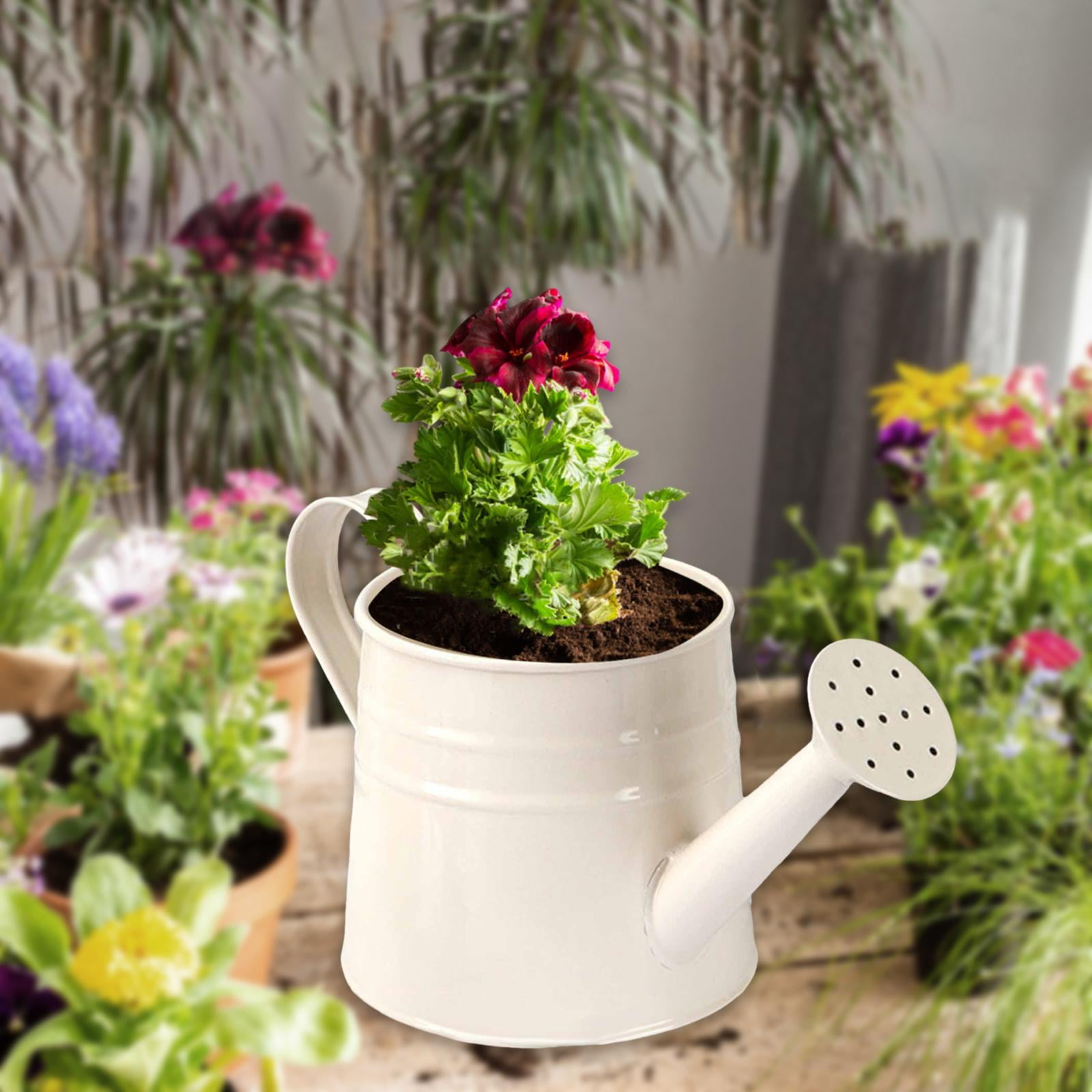 Ximing Metal Mini Watering Can Planter Flower Container Rustic Multipurpose 9.6x4.5inch for Outdoor Indoor Decoration Smooth Surface White