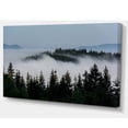 thumbnail image 2 of Dark Trees and Fog Over Mountains, 2 of 3