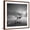 Brown Frame, variant on Art.com Water Tree 3 Photographic Print by Moises Levy, 24" x 24"