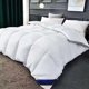 thumbnail image 1 of Hotel Duvet White Down Warm Quilt Thickened Winter Quilt Spring And Fall Summer Cool Quilt Twill Milled Quilt, 1 of 7