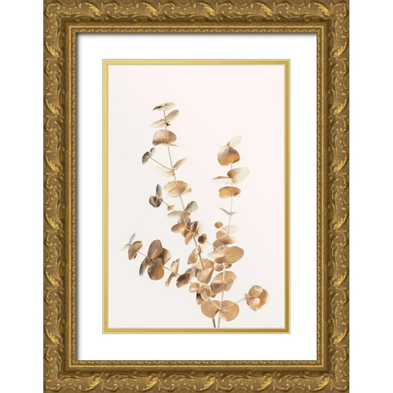 Artographie Studio 23x32 Gold Ornate Wood Framed with Double Matting Museum Art Print Titled - Eucalyptus Gold No 04