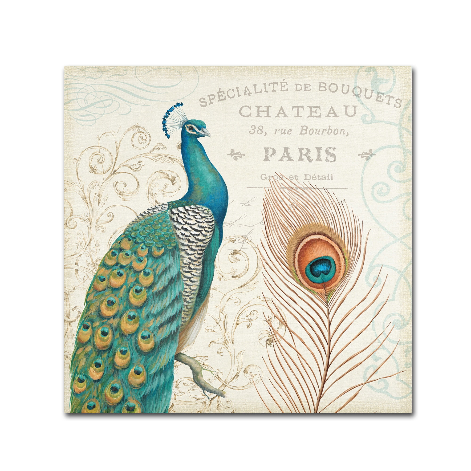 Trademark Fine Art "Majestic Beauty I Square" Canvas Art by Daphne Brissonnet