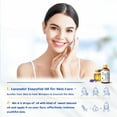 thumbnail image 3 of HIQILI PureLavender Essential Oil, 30mL for Sleep Support & Stress Relief, Diffuser, Massage, 3 of 8